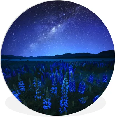 Produktbild von MuchoWow® Rundes Wandbild - Runde Bilder Sternenhimmel - Milchstraße - Blumen Ø 30 cm Kreis Wanddekoration Kunststoff - Wandkreis - Wandschmuck - Schlafzimmer - Bilder - Der Kreis - Kunst für die Wohnung - Plastik - Kunstdruck - Wandbild