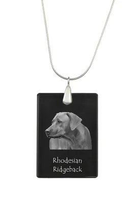 Image de Rhodesian Ridgeback - Pendentif en cristal avec chien, collier en argent avec photo, pendentif personnalisé de la marque Art-Dog