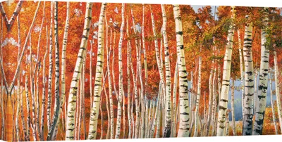 Immagine prodotto di Quadro su tela - Adriano Galasso, Betulle d'autunno - 120x60 cm