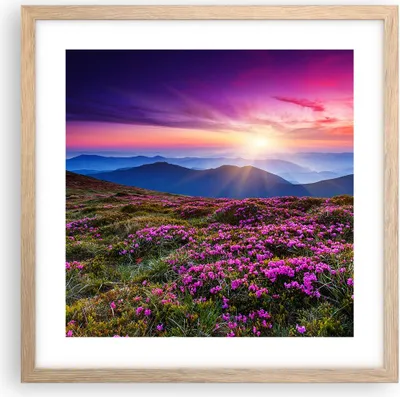 Produktbild von Gerahmtes Poster - Rahmen in heller Eiche - Wiese Berg Himmel Landschaft - 40x40 cm - Wand Bild - Wanddeko - Wandbilder - Wandposter - Bilderrahmen - Bilder - Kunstdruck - Wandbild - P2NAC40x40-2719