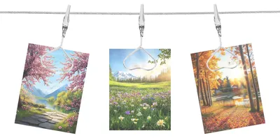Fototau 160 cm mit 10 Herzklammern, silber, Wanddisplay