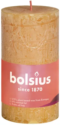 Obrázok produktu pre Bolsius Rustikálna sviečka z guľatiny 100/50 HYW