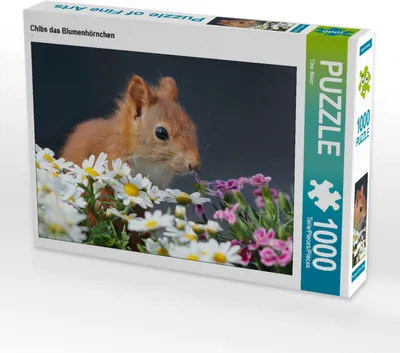 Produktbild von CALVENDO Puzzle Chibs das Blumenhörnchen | 1000 Teile Lege-Größe 64x48cm Foto-Puzzle für glückliche Stunden