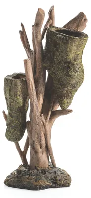 Produktbild von OASE 34087 biOrb Wurzel mit Bienenstock L