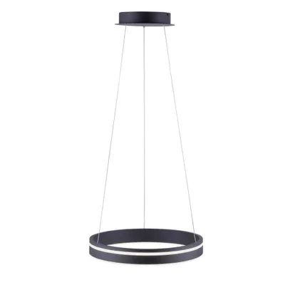 Image de Paul Neuhaus 8410-13 Paul Neuhaus Q-VITO Smart Home Deckenleuchte anthrazit 28 W