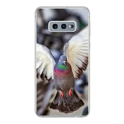 Produktbild von MuchoWow® Handyhülle Schutzhülle Hülle für Samsung Galaxy S10e Nahaufnahme einer fliegenden Taube Silikon Softcase Handy Hülle - Handy