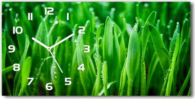 Produktbild von Wanduhr aus Glas – 60x30 cm - Glasbild - Glasuhr - Gehärtetes Glas - weisse-zeiger - Gras