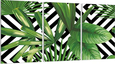 Produktbild von Glasschutzplatte für Herd 3x30x52