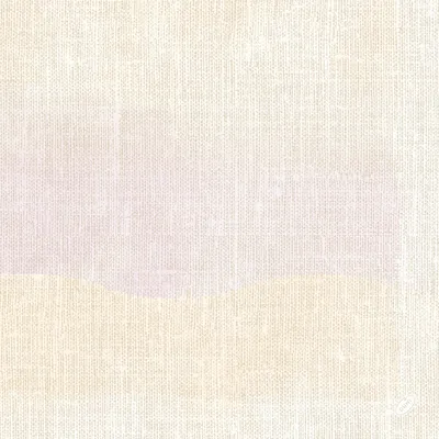 Obrázok produktu pre Duni classic servítky 4-vrstvové 40 x 40 cm Serenity 50 kusov