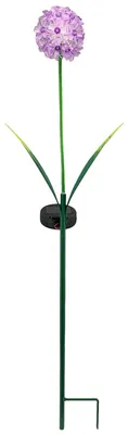 Image de Fiche solaire Allium 1 fleur lilas