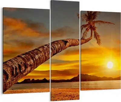 Produktbild von Bild auf Leinwand - Leinwandbild - Palme Landschaft Sonne - 95x80cm - Wand Bild - Wanddeko - Leinwanddruck - Bilder - Kunstdruck - Wanddekoration - Leinwand bilder - Wandkunst - CB95x80-0162