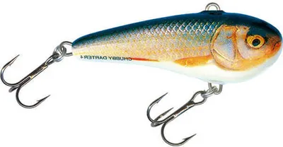 Produktbild von Salmo Chubby Darter sinking - Wobbler, Farbe:Real Roach, Länge / Gewicht:3cm - 3.2g
