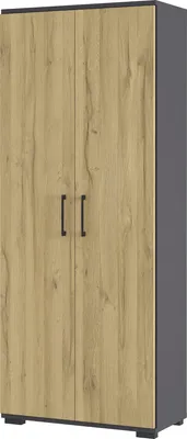 Produktbild von Aktenschrank "416" in anthrazit | hellbraun mit 2 Türen und 4 Einlegeböden. Abmessungen (BxHxT) 80x200x40 cm