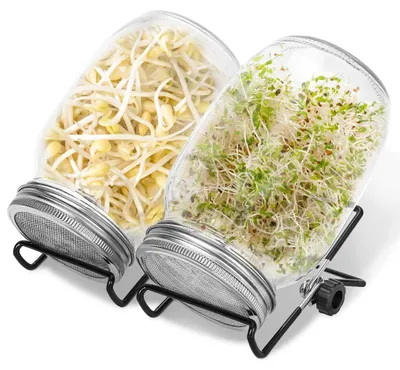 Produktbild von Eikuavons Keimglas 2er Set 1000ml mit Edelstahlfilter, Ständer und Tropfschale, robust & spülmaschinengeeignet