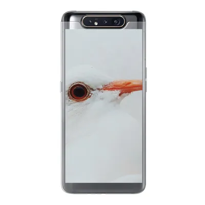 Produktbild von MuchoWow® Handyhülle Schutzhülle Hülle für Samsung Galaxy A80 Nahaufnahme einer weißen Taube Silikon Softcase Handy Hülle - Schutzdeckel