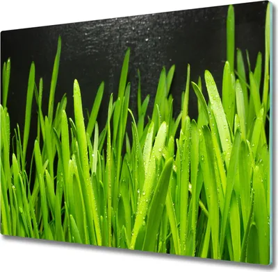 Produktbild von Glas Herdabdeckplatte 60x52 cm Spritzschutz Glasabdeckplatte Schneidebrett Gras