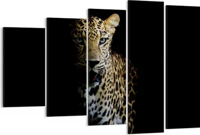 Produktbild von Bild auf Leinwand - Leinwandbild - 5 Teile - Schattig Leopard Panther - 150x100cm - Wand Bild - Wanddeko - Wandbilder - Leinwanddruck - Bilder - Wanddekoration - Leinwand bilder - EG150x100-4585