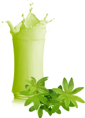 Produktbild von Waldmeister Milchshake Pulver 1 kg