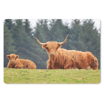 Produktbild von MuchoWow® Schreibtischunterlage Schottische Highlander - Gras - Wald 60x40 cm - XXL Mauspad - Großes Mauspad