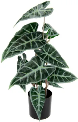 Produktbild von Realistische Kunstblumen Calathea - Onderhoudsvriendelijk - 1 Stück - Kunstblumen