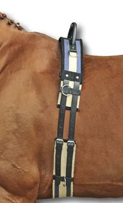 Obrázok produktu pre HKM Podväzok s rukoväťou DARK BLUE/BEIGE, veľkosť Thoroughbred/Warmblood
