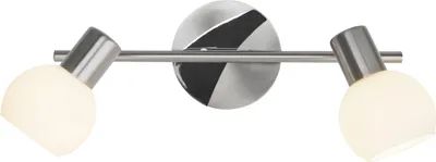 A modern, two-headed ceiling spotlight with a brushed metal finish and frosted glass shades, mounted on a white background.