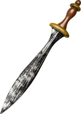 Image de épée spartiate argent/marron 69 cm