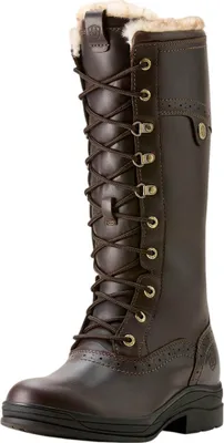 A single brown leather boot with fur lining is shown against a white background.