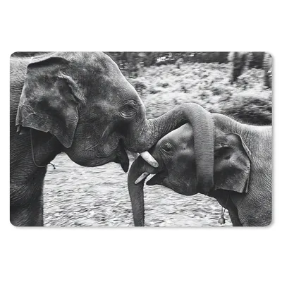 Produktbild von MuchoWow® Schreibtischunterlage Elefant - Tiere - Natur - Schwarz und weiß 60x40 cm - XXL Mauspad - Großes Mauspad