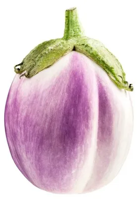 Produktbild von 20 Solanum melongena di Rosa Samen, 10cm Früchte, milder Geschmack, für weniger sonnige Regionen