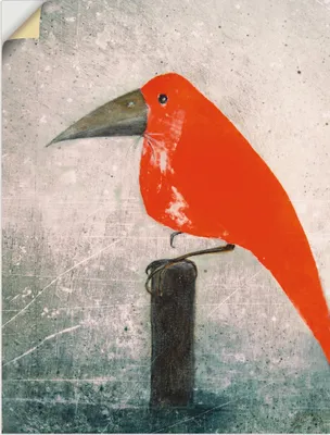Produktbild von ARTland Wandbild, selbstklebend Der Rote Vogel Größe: 45x60 cm