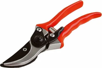 Image de Sécateur Extol Craft Heavy Duty, 9269