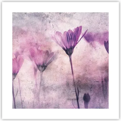 Produktbild von Poster - Poster ohne Rahmen - Blumen Rosa Vintage - 40x40 cm - Wand Bild - Wanddeko - Wandbilder - Kunstposter - Wandposter - Bilder - Kunstdruck - Wanddekoration - Wandbild - P2XAC40x40-4432