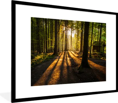 Produktbild von MuchoWow® Gerahmtes Poster Sonne - Bäume - Wald - Landschaft - Natur 80x60 cm - Poster mit Schwarzem Bilderrahmen Wandposter Rahmen Foto Bilder - Schlafzimmer-Dekorationen - Fotoposter