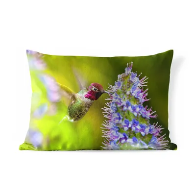 Obrázek produktu pro MuchoWow® Vnější polštář - Pták - Kolibřík - Červený - Zelený -60x40 cm- Odolnost proti povětrnostním vlivům - polštář do obývacího pokoje