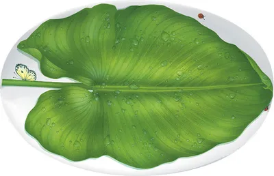Immagine prodotto di Taitù Freedom - Piatto da portata ovale 40 cm
