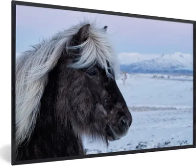 Produktbild von MuchoWow® Gerahmtes Poster Pferd - Schnee - Braun 90x60 cm - Poster mit Schwarzem Bilderrahmen Wandposter Rahmen Foto Bilder - Fotorahmen - Foto-Plakat