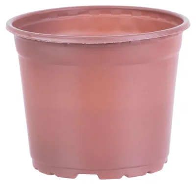 Imagen del producto de Maceta para semilleros Strend Pro, redonda, 17x13,5 cm - Pack de 10 uds.