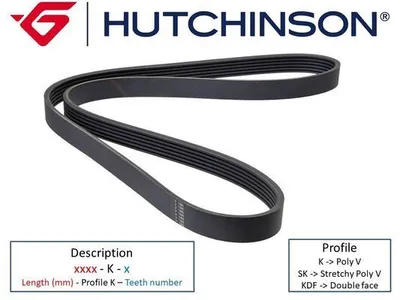 Produktbild von HUTCHINSON Keilrippenriemen