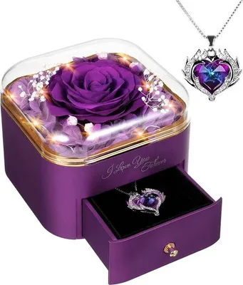 Productafbeelding van Famanu Eeuwige Roos met ketting - Cadeau voor vrouwen