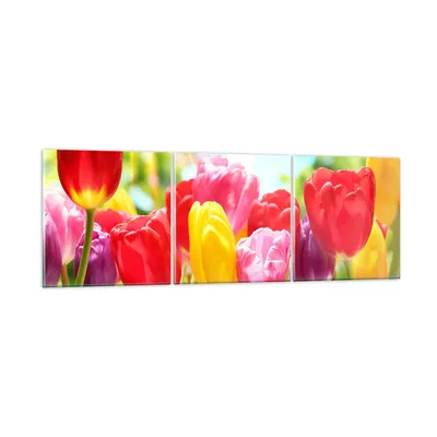Produktbild von Bilder auf glas - Tulpe Blume Garten Plantage - 150x50cm - Glasbilder - Wandbilder - Kunstdruck - zum Aufhängen bereit - Wanddekoration aus Glas - Glas Bilder - Wandbild auf Glas - GCA150x50-2466
