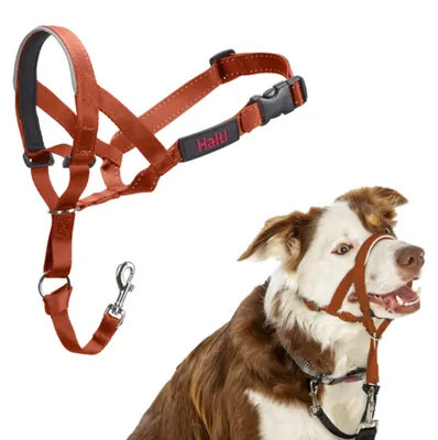 Zdjęcie produktu dla Maulkorb Company of Animals BURNT Orange 2