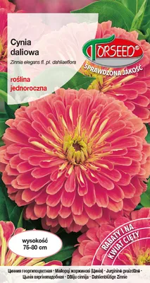 Produktbild von Samen der Dahlie lachsrosa 1g - Torseed