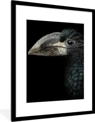 Produktbild von MuchoWow® Gerahmtes Poster Vogel - Porträt - Hornvogel - Schwarz - Tiere 60x80 cm - Poster mit Schwarzem Bilderrahmen Wandposter Rahmen Foto Bilder - Wohnzimmer - Dekorationen - Prämie