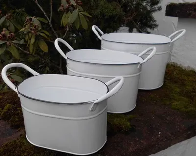 Three white oval planters with handles are arranged diagonally on a mossy surface, with foliage in the background.