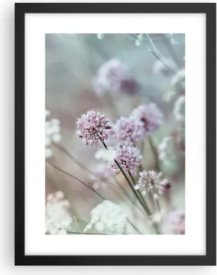 Produktbild von Gerahmtes Poster - Schwarzer Rahmen - Wiese Knoblauch Blume - 30x40 cm - Wand Bild - Wanddeko - Wandbilder - Kunstposter - Wandposter - Bilderrahmen - Bilder - Kunstdruck - Wandbild - P2BPA30x40-4177