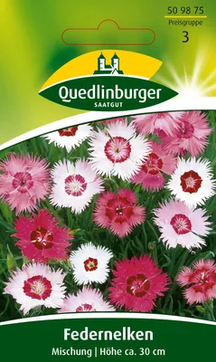Produktbild von Quedlinburger Saatgut - Feder-Nelken Mischung - Samen - 509875