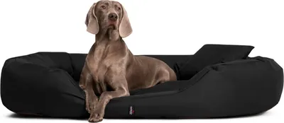 Produktbild von tierlando® Orthopädisches Hundebett SAMMY | Robuster Polyester | Dicke Umrandung - Größe: 140x105cm | Farbe: 03 Schwarz