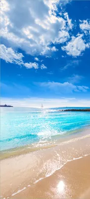 Produktbild von Türtapete Türposter Traumstrand unter blauem Himmel - Größe: 93 x 205 cm