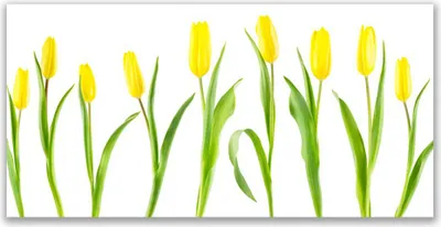 Produktbild von Tulup Leinwand-Bilder 140x70 Wandbild Canvas Kunstdruck Tulpen Pflanzen